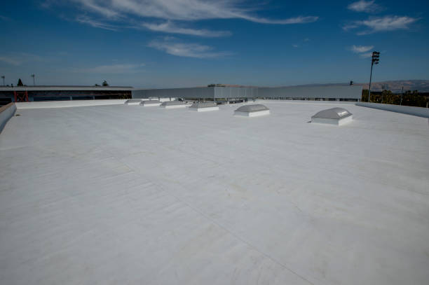 Best Roof Insulation Installation  in Palmetto, GA